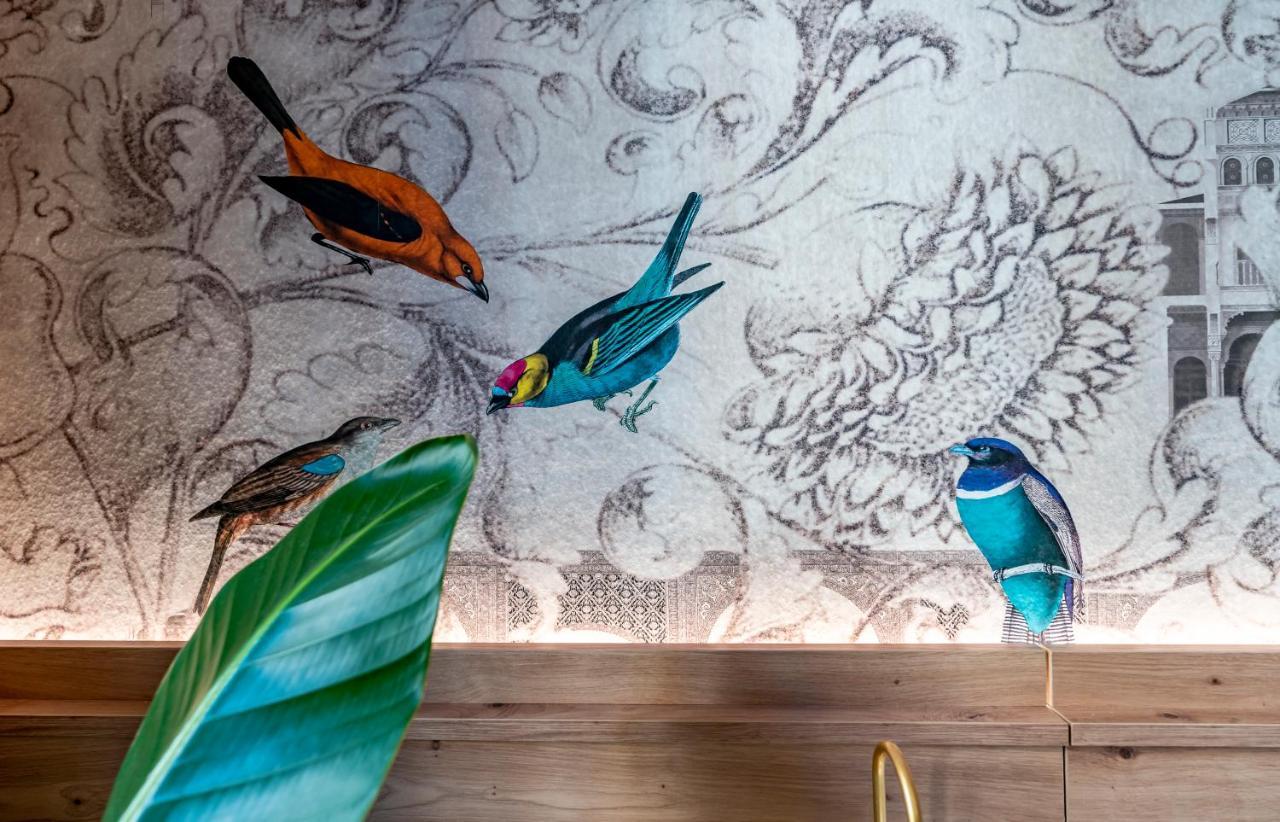 Terra Artis Guest House Florencja Zewnętrze zdjęcie